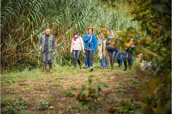 San Miniato Tuscany truffle hunting experience truffle, cooking and wine tasting