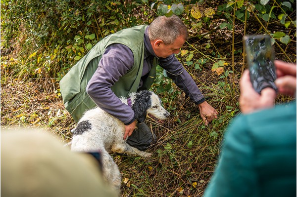 San Miniato Tuscany truffle hunting experience truffle, cooking and wine tasting