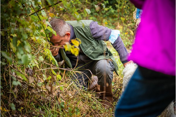 San Miniato Tuscany truffle hunting experience truffle, cooking and wine tasting