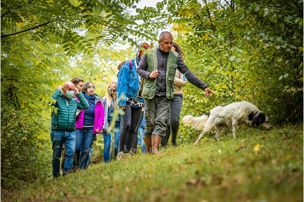 San Miniato Tuscany truffle hunting experience truffle, cooking and wine tasting