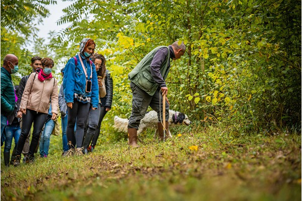 San Miniato Tuscany truffle hunting experience truffle, cooking and wine tasting