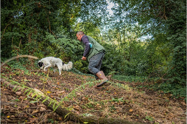 San Miniato Tuscany truffle hunting experience truffle, cooking and wine tasting