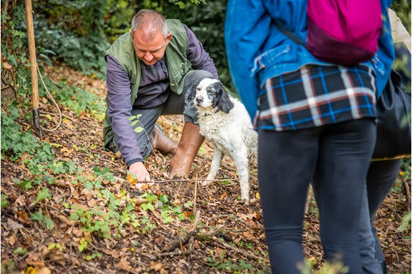 San Miniato Tuscany truffle hunting experience truffle, cooking and wine tasting