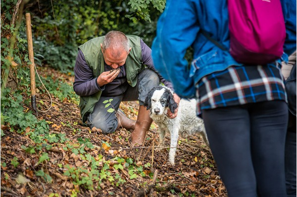 San Miniato Tuscany truffle hunting experience truffle, cooking and wine tasting