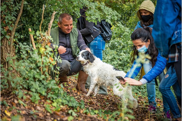 San Miniato Tuscany truffle hunting experience truffle, cooking and wine tasting