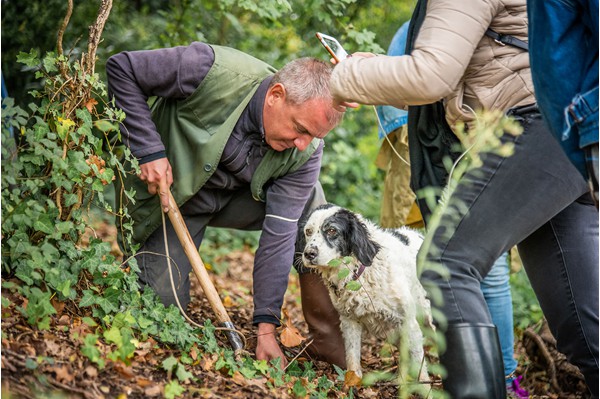 San Miniato Tuscany truffle hunting experience truffle, cooking and wine tasting