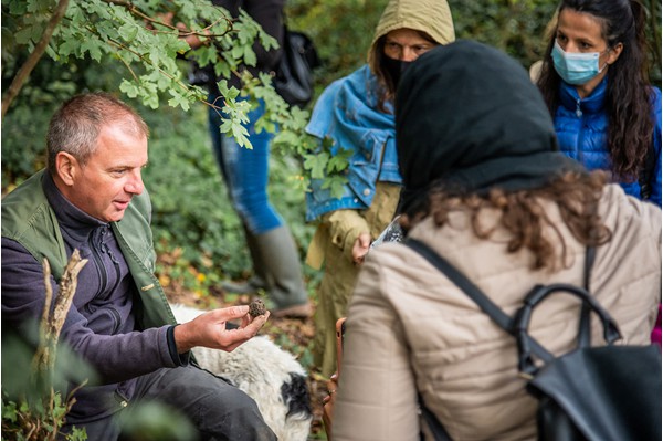 San Miniato Tuscany truffle hunting experience truffle, cooking and wine tasting