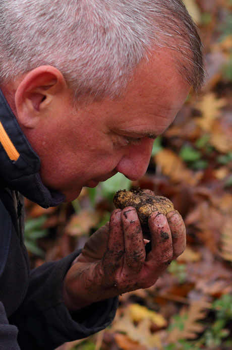 truffle hunting trip italy