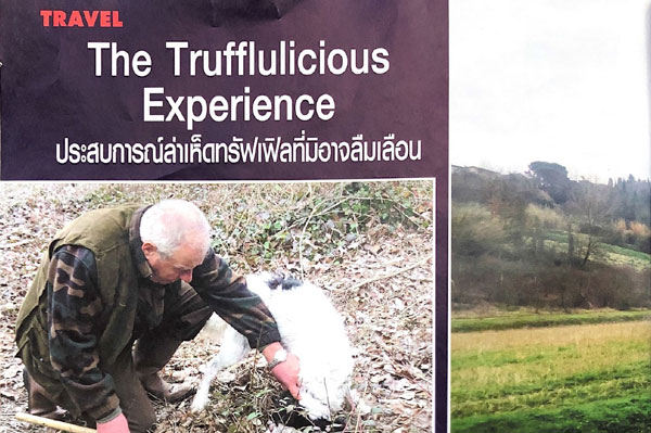 Truffle in Tuscany truffles digging up cooking class course wine tasting