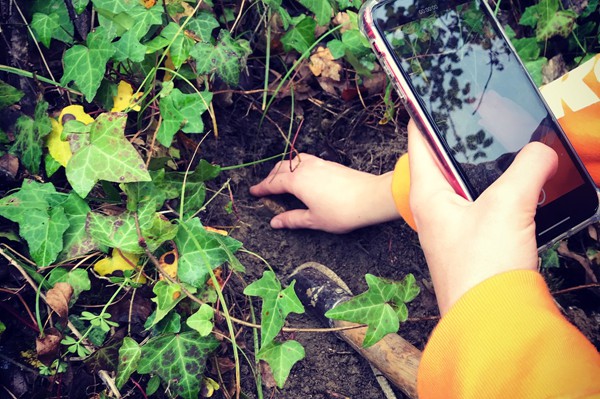 Truffle in Tuscany is truffle hunting experience in San Miniato