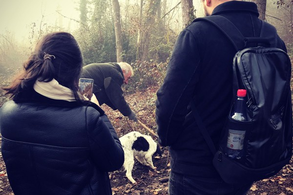 Truffle in Tuscany is truffle hunting experience in San Miniato