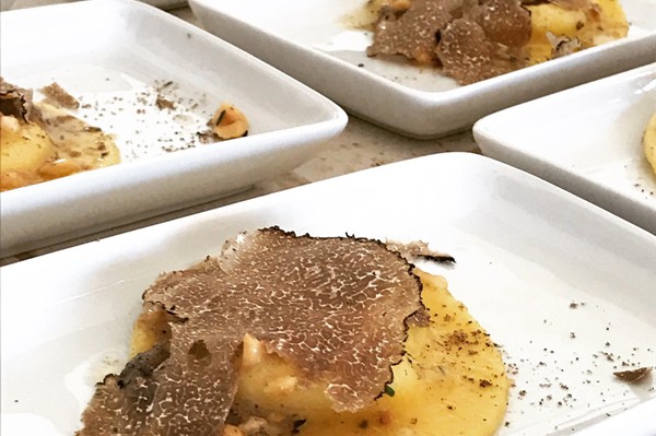 Truffle in Tuscany is truffle hunting experience in San Miniato