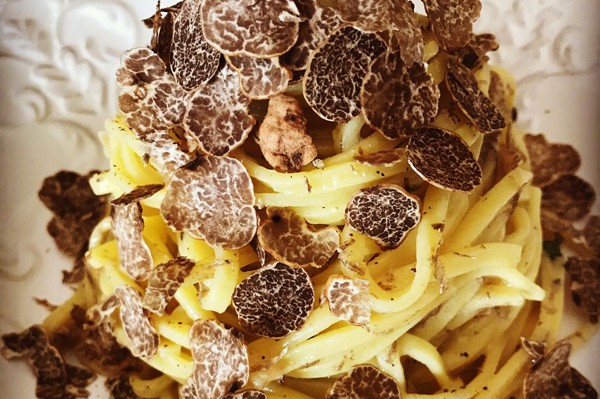 Truffle in Tuscany is truffle hunting experience in San Miniato