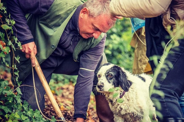 Truffle in Tuscany is truffle hunting experience in San Miniato