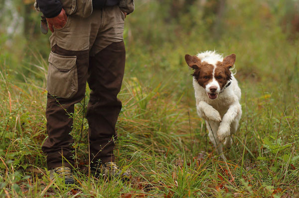 Truffle in Tuscany is truffle hunting experience in San Miniato Pisa Florence