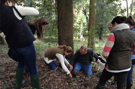 Truffle hunting experience in Tuscany San Miniato Italy