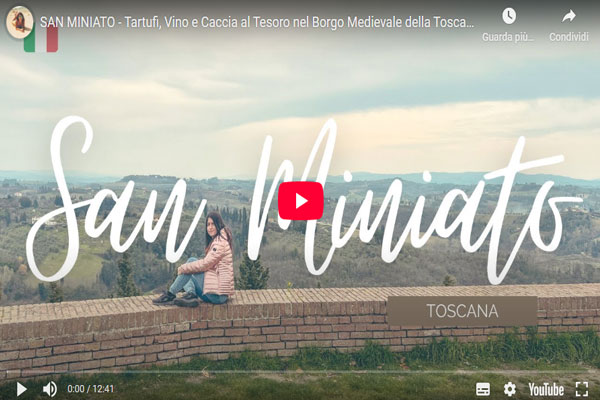 Video foraging truffle hunter cerca tartufo San Miniato
